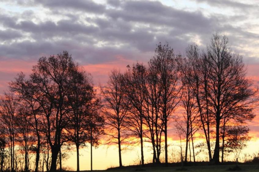 La Campagne - foto 30