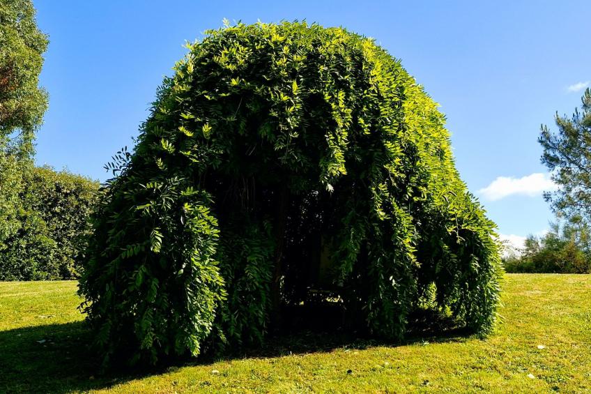 Le domaine des roseraies, Unterkunft Flaubert - foto 31