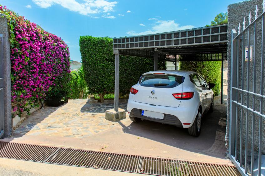 Bugambilla - foto 31