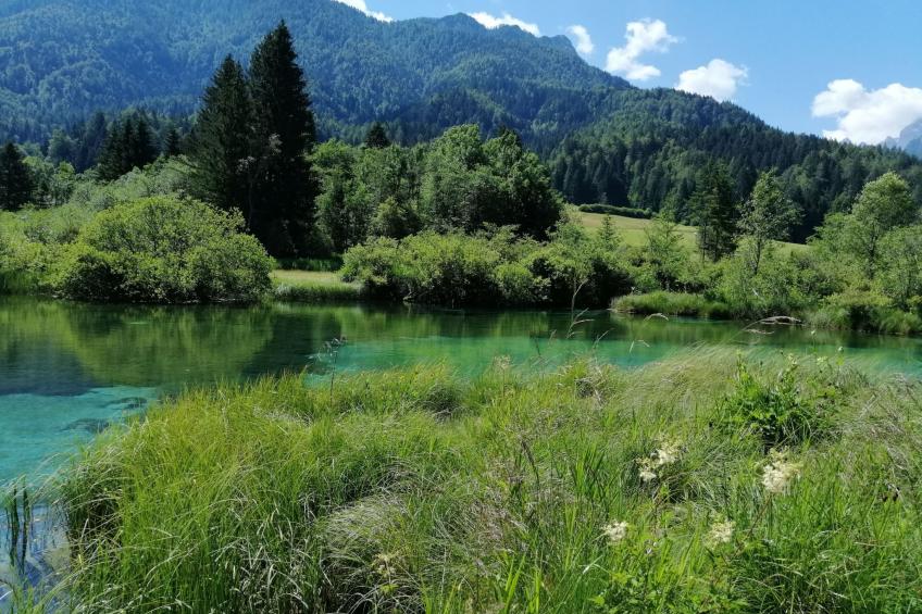 mit eigenem Garten und Terrasse - foto 34