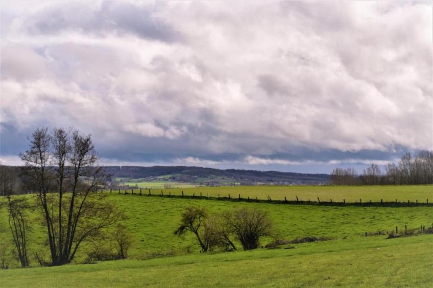 Les Tropiques - foto 27