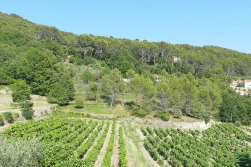 in Draguignan, Côte d'Azur - foto 16