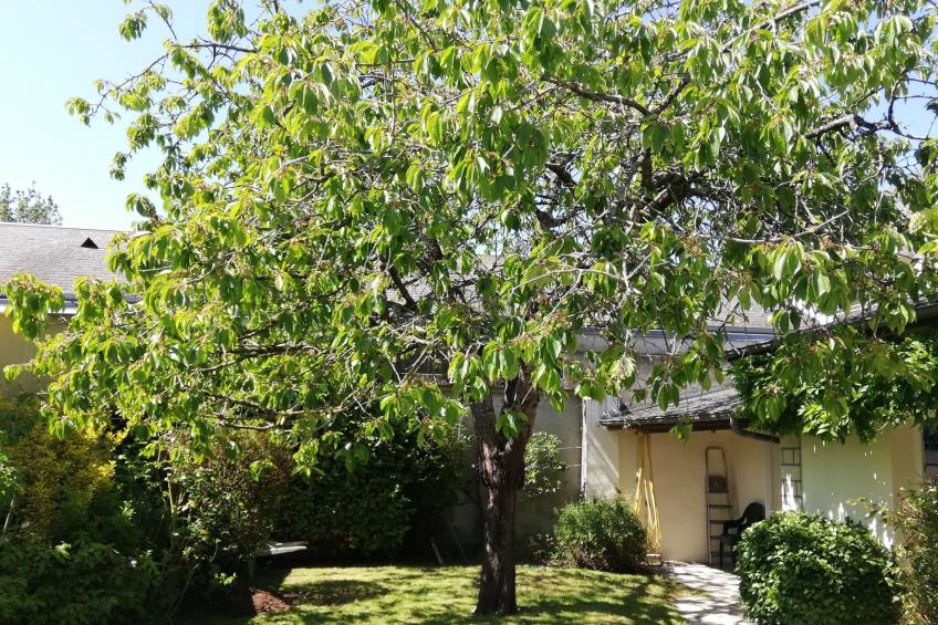 Schönes Haus Isigny für 6 Personen - foto 5