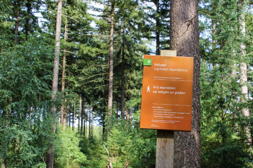 Vakantiepark de Woeste Hoogte 2 - foto 38
