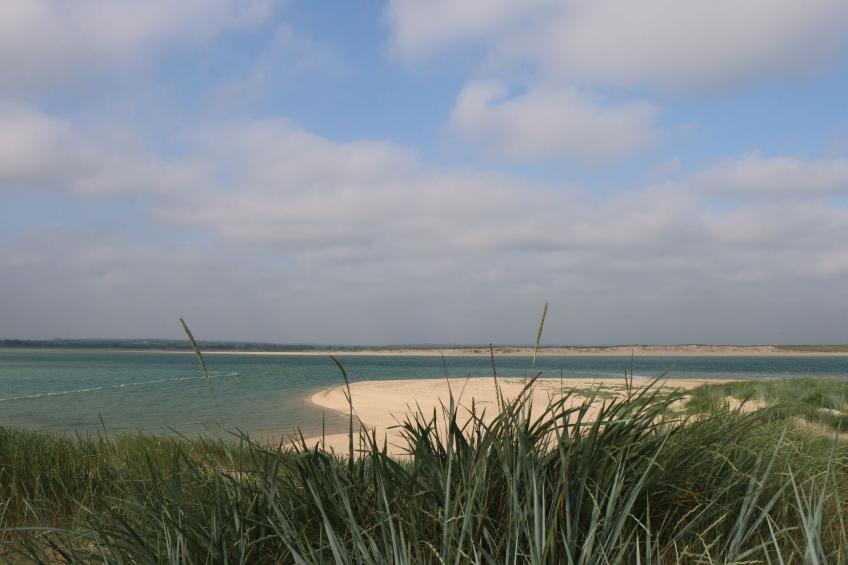 l'Escale dunes, Strände 20 Meter entfernt, Meerblick - foto 50