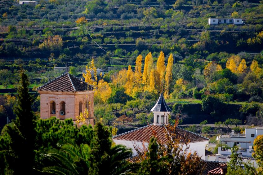 Gemütliches Haus in Anlage mit Pool und Garten - foto 23
