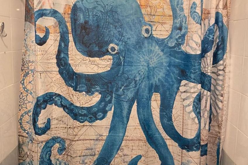 Wohnung 'The Blue Octopus' mit Blick aufs Wasser - foto 29