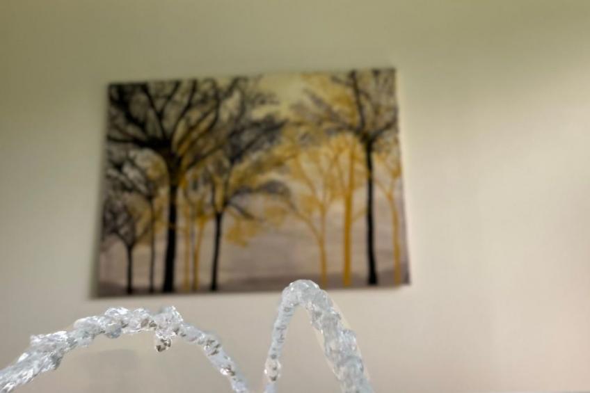 Ober Langengarten - foto 20