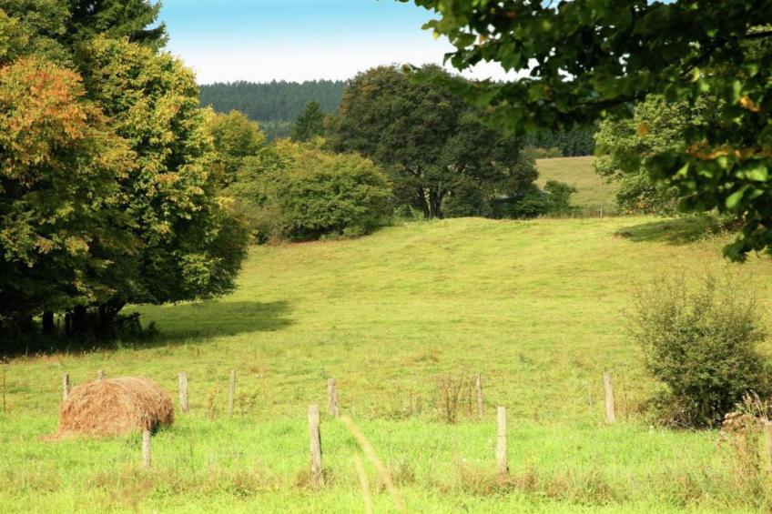 Le Grand Moulin de Denée - foto 35