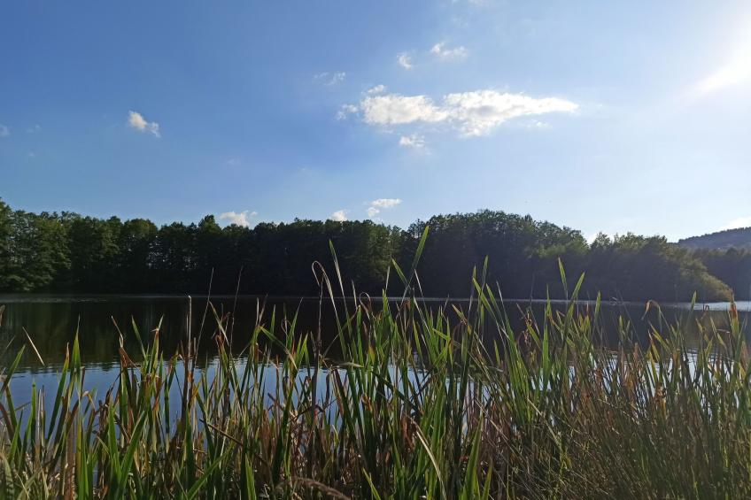 FeWo Siebert - foto 26