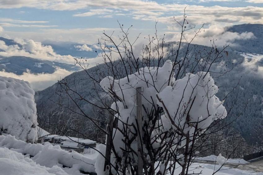 Morgensonne - foto 11