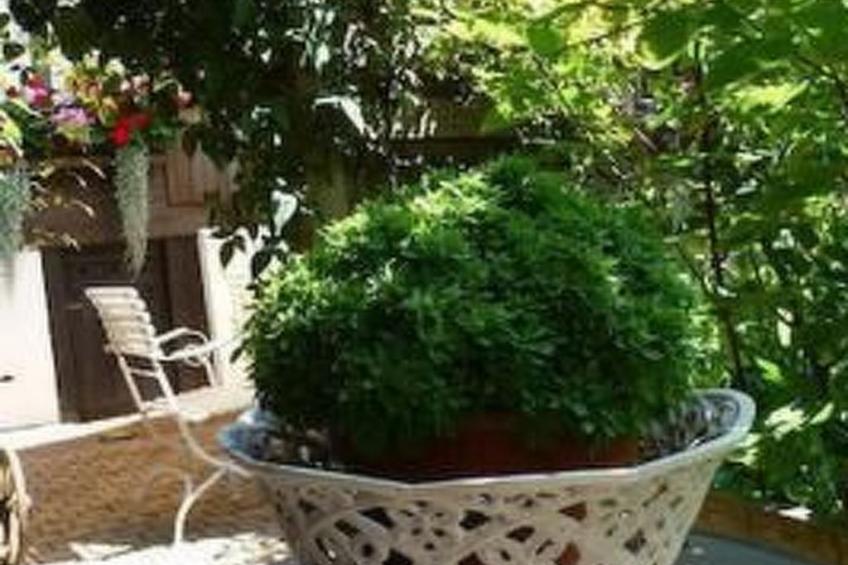 Flädermuus - foto 10