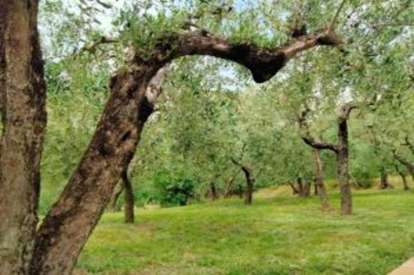 Appartamento 4 persone - foto 37