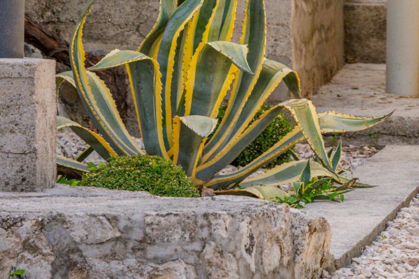 Villa Eden Dubrovnik - Six Bedroom Villa - foto 43