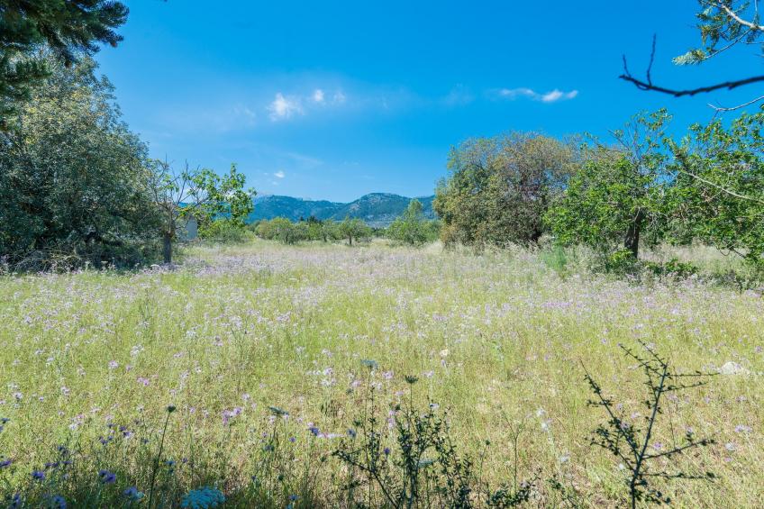 Ca Na Sioneta - foto 46