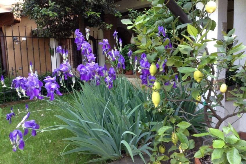 La Badia in Franciacorta 10 min. vom Iseosee entfernt - foto 20