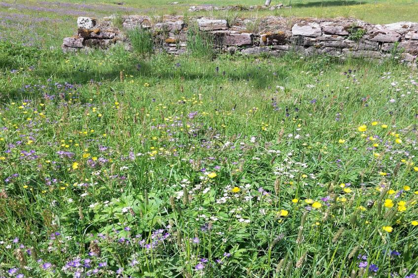 Zuckerbauernhof Weideblick - foto 31