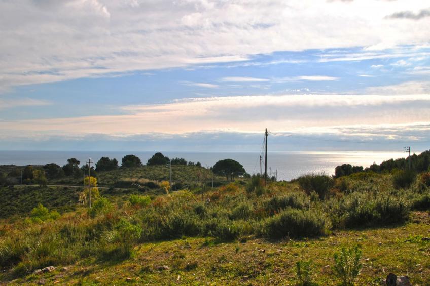 Villa zur Alleinbenutzung im Grünen - foto 2