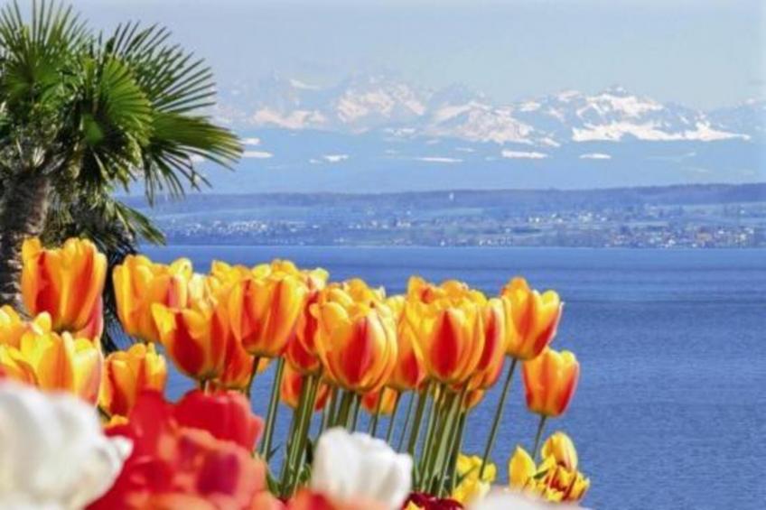 Am Bodensee - foto 23