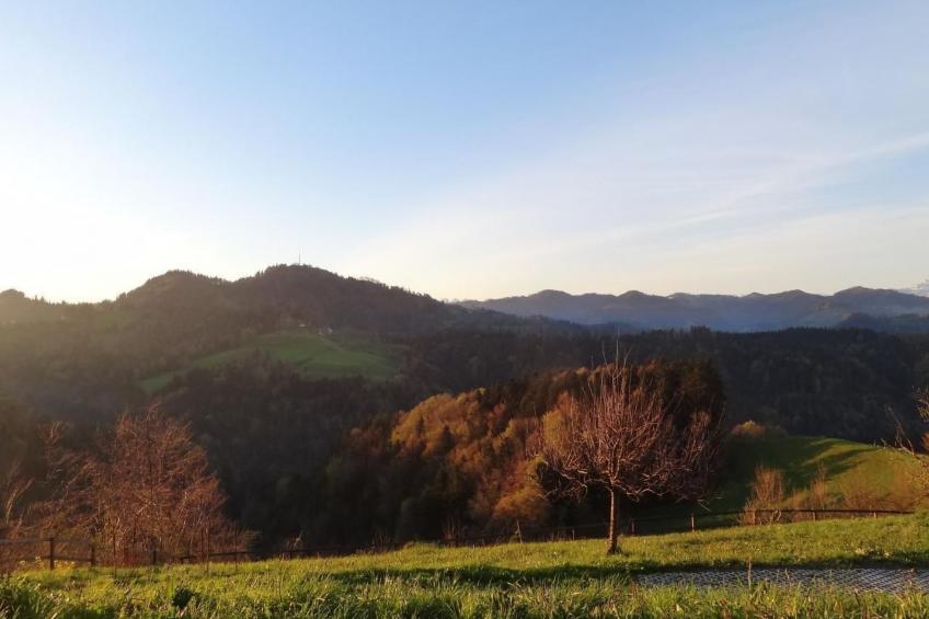 Haus am Sternsberg - foto 15