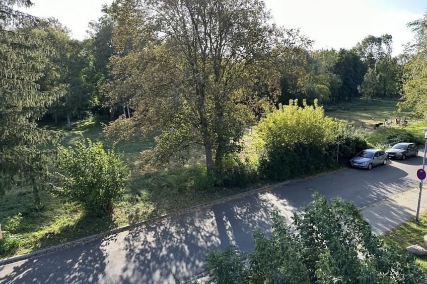475038 - foto 4