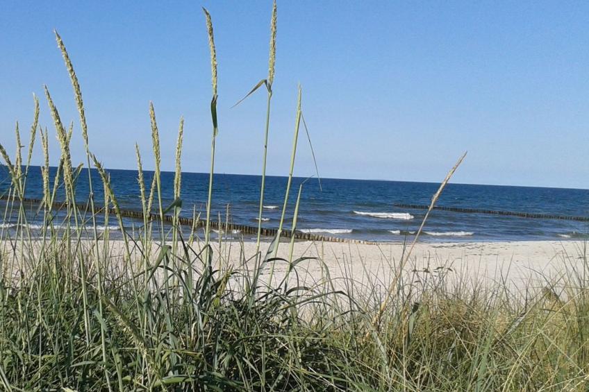 Janet Ratschkowski - foto 51