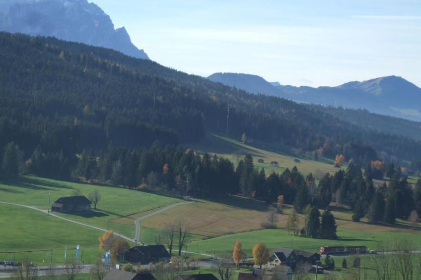 Ballmoos Ferienwohnung - foto 10