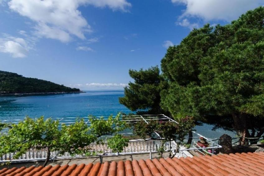 Apartments Franka Saplunara-Double Room with Terrace and Sea View - foto 17