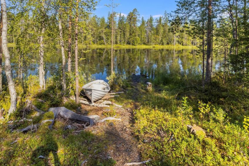 Kiehtäjän kuohu - foto 5