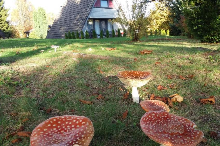 Haus Winnetou - foto 14