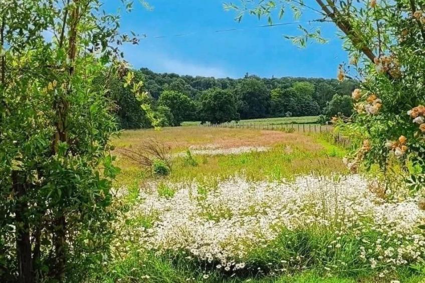 Tiny House Sundancer - foto 11