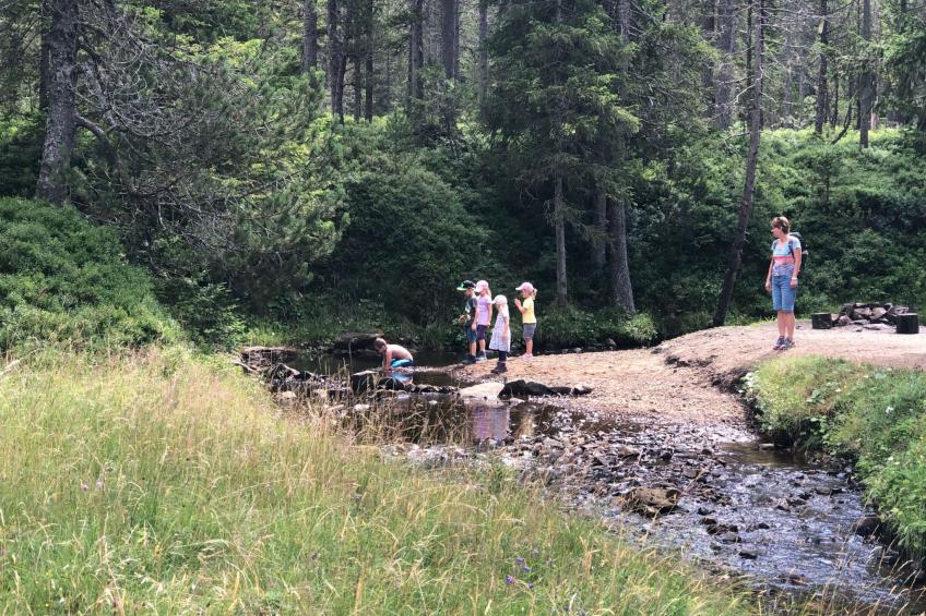 Sunny retreat - foto 16