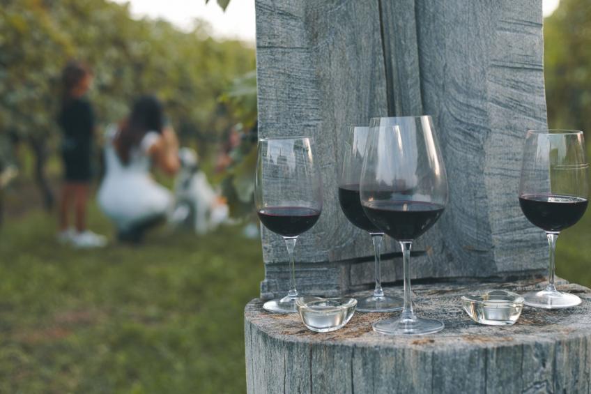 Bauernhof La Bosca - foto 24