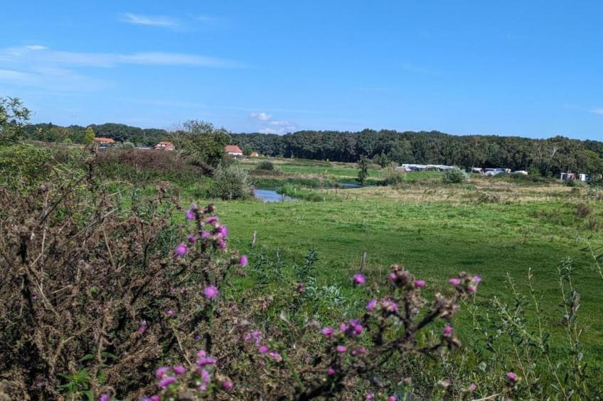 Vakantie bij Meeussen - Molendal 3 - foto 23