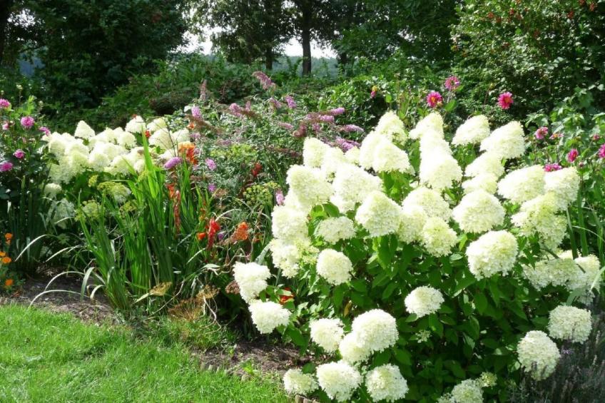 Glücksurlaub am See - foto 15