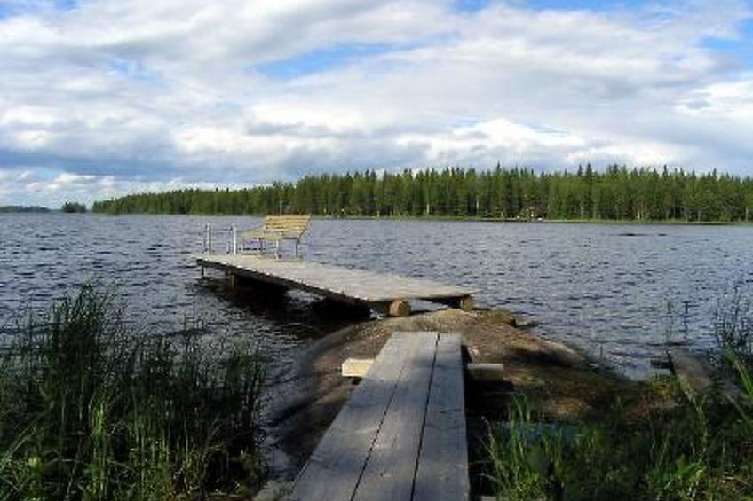 Puolukka - foto 34
