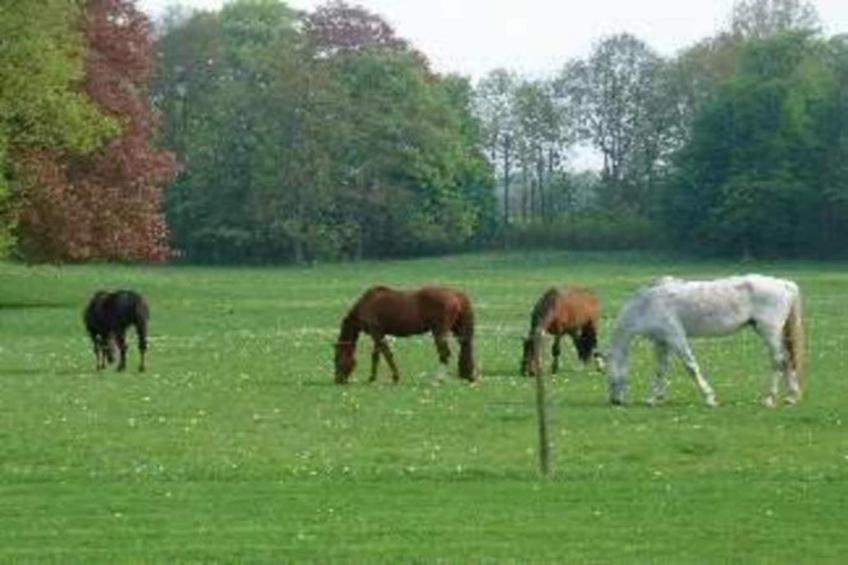 La Maison du Cocher - foto 31