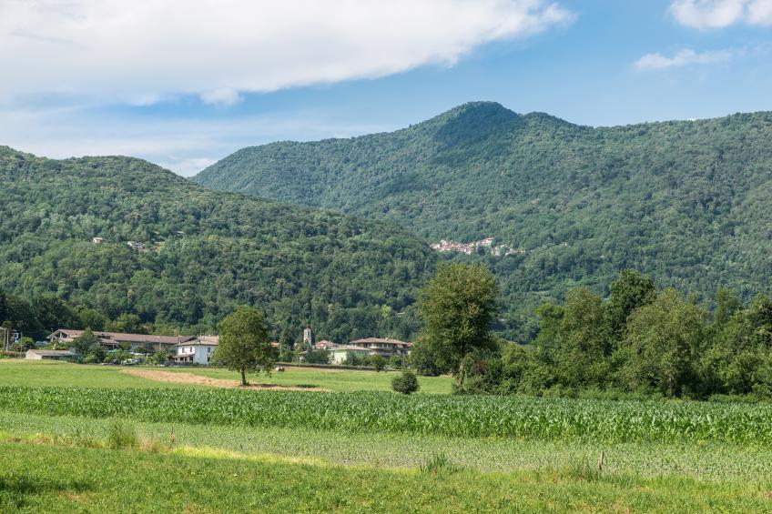 Viola Apartment - foto 31