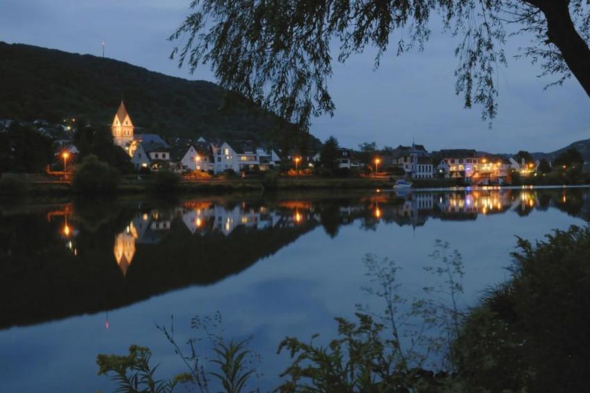 Gerä¤umige Ferienwohnung in Lay am Moselhang - foto 16