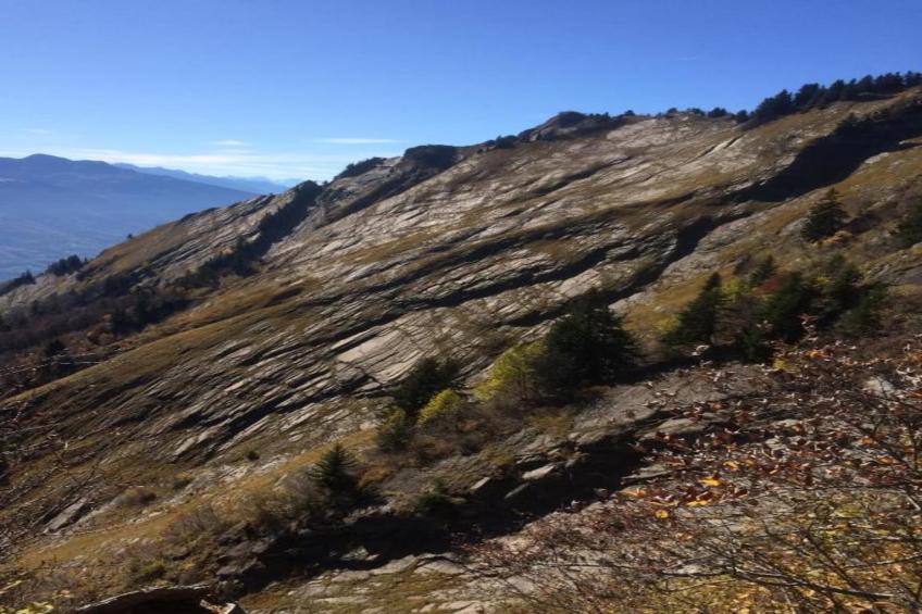 La Ferme de Noémie - foto 36