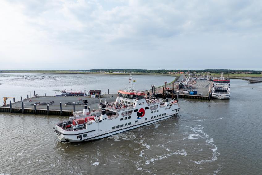 Boomhiemke - foto 37