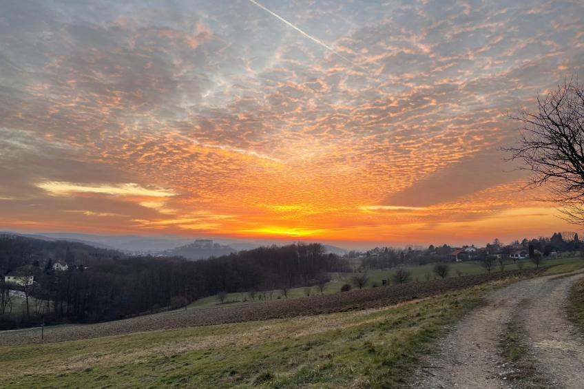 Willkommen in der Villa Valentina im Wienerwald - foto 17