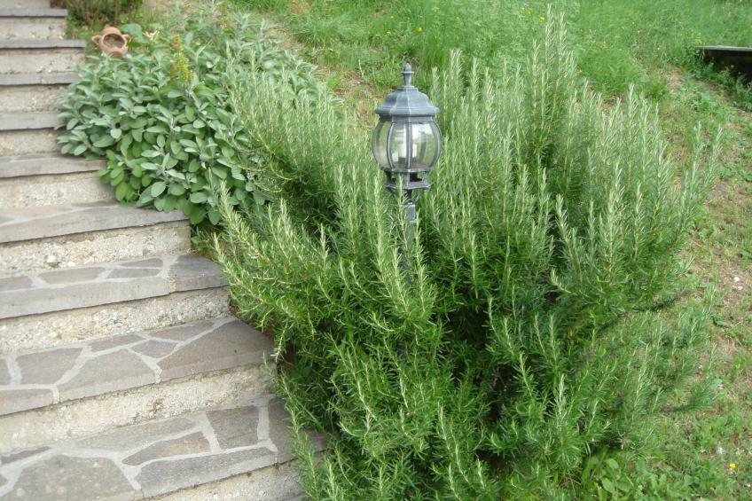 Wohnung "Zanetti" mit Seeblick - foto 23