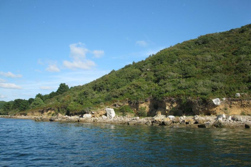 Haus auf der Halbinsel Plougastel - foto 19