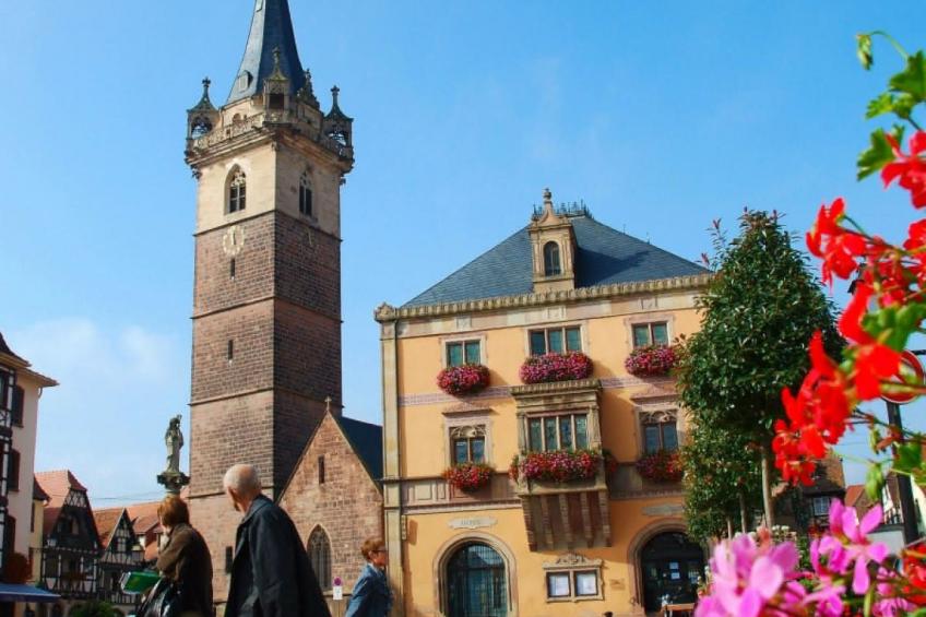 Wohnung "Terre d'Hélène" und Garten - foto 28