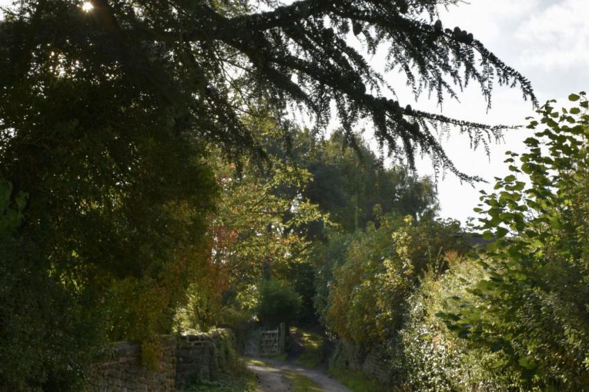 Cheese Room Cottage - foto 10