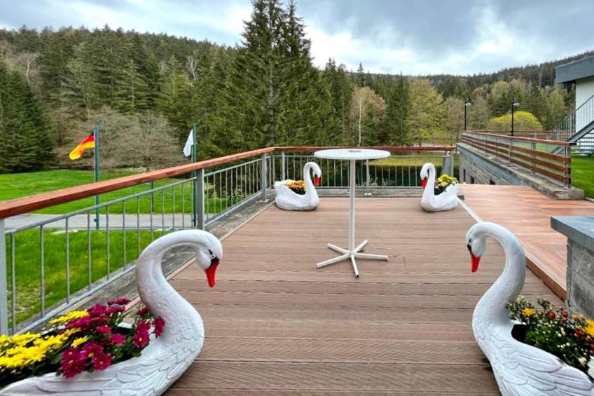 Schwarzbachtal - Double room Forest and Mountain View With balcony - foto 8