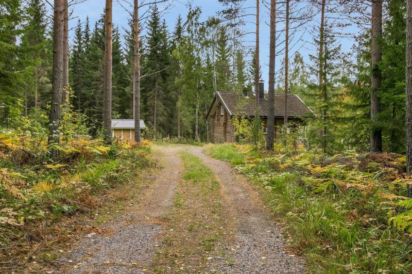 Pikku harrila - foto 29