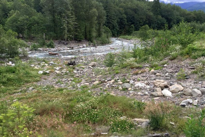 Historisches Blockhaus - foto 27