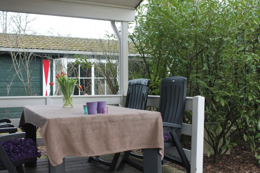 De Veluwse Eekhoorn - foto 20
